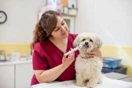 Dial-A-Dose-White-Dog-Medicine2-HR